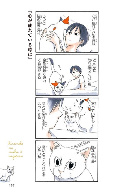 Page 22 足元でくつろぐモチャ／『拾い猫のモチャ』55 ダ・ヴィンチweb