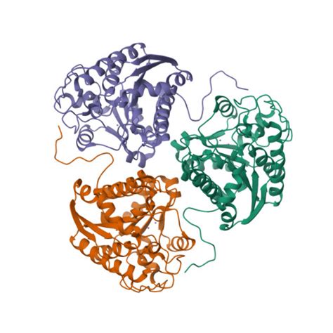 Rcsb Pdb P M Structural And Functional Importance Of First Shell