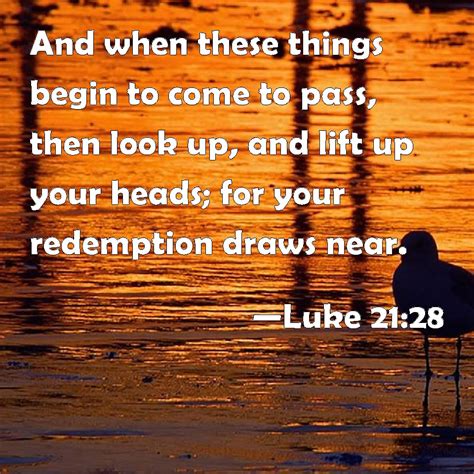 Luke 21 28 And When These Things Begin To Come To Pass Then Look Up And Lift Up Your Heads