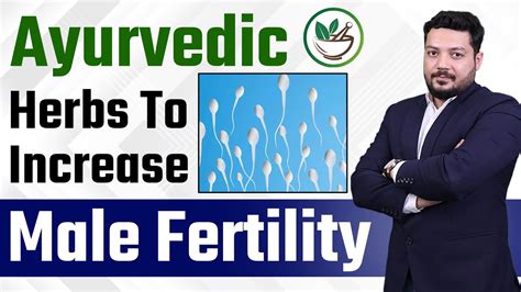 Ayurvedic Herbs To Increase Male Fertility Natural Herbs To Boost