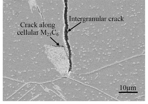 Sem Micrograph Of The Cross Sectional Fracture Surface For The Sample