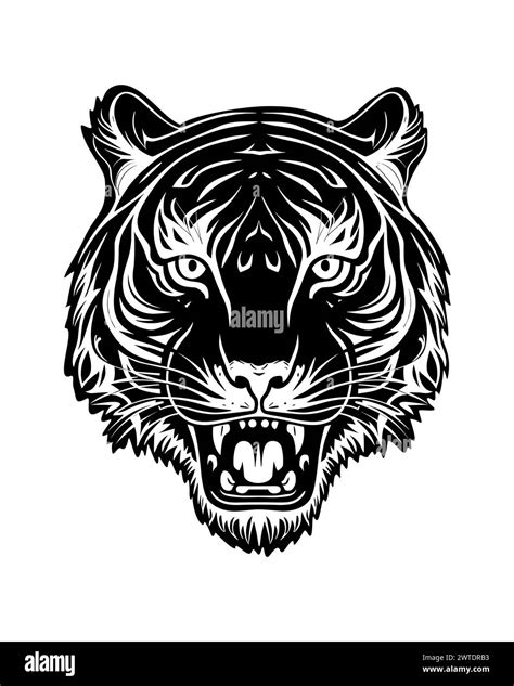 Roaring Tiger Head Black And White Drawing Stock Vector Image And Art Alamy