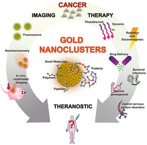 Gold Nanoclusters Imaging Therapy And Theranostic Roles In Biomedical Applications