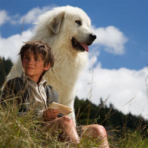 Belle Et S Bastien Et Un Une Parmi Les Sorties Cin Ma Du D Cembre