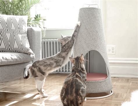 Products We Love: This Cat Scratching Post That Doubles as a Bed