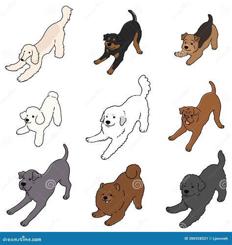 Simple And Cute Playful Dogs Illustrations Set Stock Vector