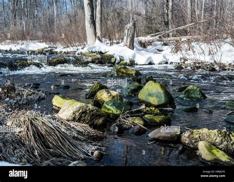 log  stream stock photo alamy