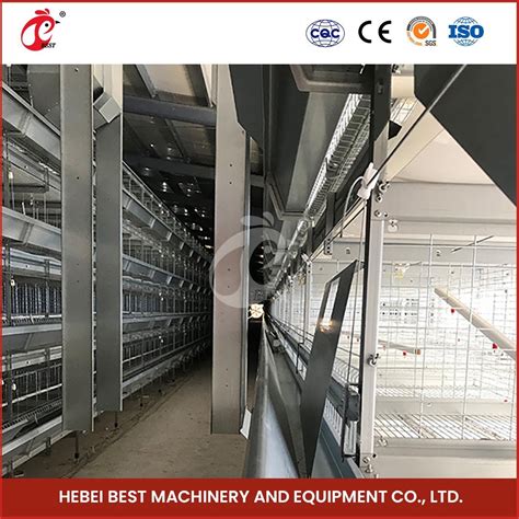 Bestchickencage H Frame Broiler Cages China Collapsible Chicken Broiler