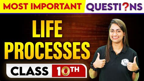 Life Processes Most Important Questions Class Th Youtube