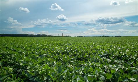 Agricultores familiares já podem se inscrever no Programa Garantia