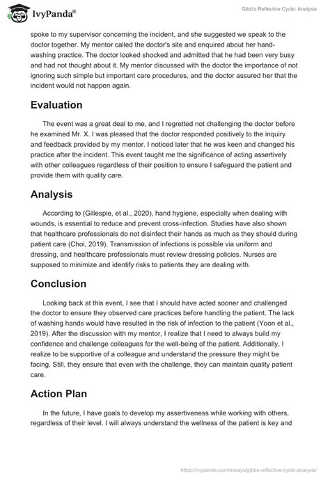 Gibb S Reflective Cycle Analysis Words Essay Example