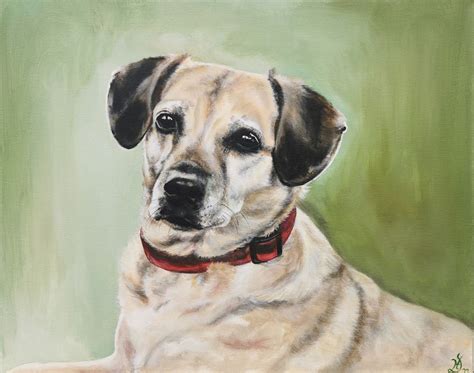 Bild Hund Portrait Malerei Von Heike Deininger Kunstnet