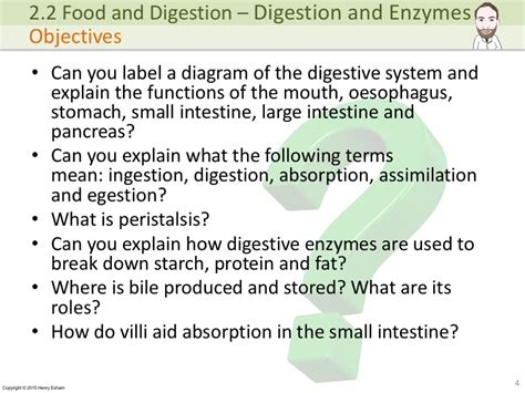 Igcse Digestion And Enzymes