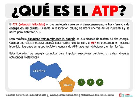 Qu Es El Atp Definici N De Atp