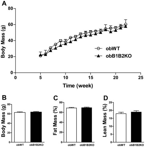 A Growth Curve Showing The Body Weight Of Mice From 6 To 24 Weeks Of