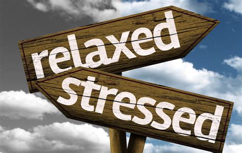 17 Eventprofs Share How To Stay Calm And Reduce Stress Before An Event