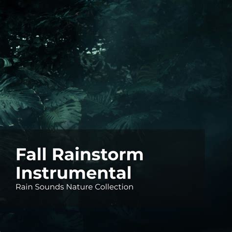 Fall Rainstorm Instrumental Album By Rain Sounds Nature Collection