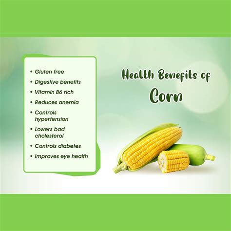 Health Benefits of Corn - Template 01