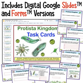 Protista Kingdom Task Cards Protists Algae Protozoa By Amy Brown