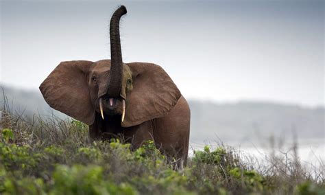 8 of Africa’s secret National Parks every wildlife-lover should know ...