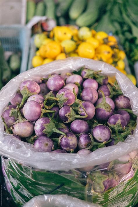 Thai Eggplant For Sale At Bangkok Vegetable Market By Stocksy