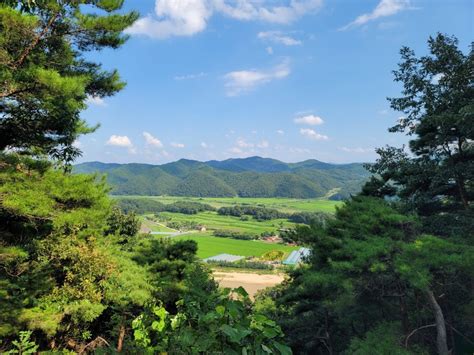 경북 예천 가볼만한곳 회룡포 전망대 뿅뿅다리 국내 조용한 여행지 네이버 블로그