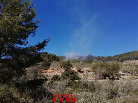 Estabilitzat L Incendi Forestal Del Perell Imagina R Dio