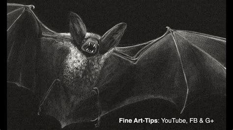 Realistic Bat Drawing