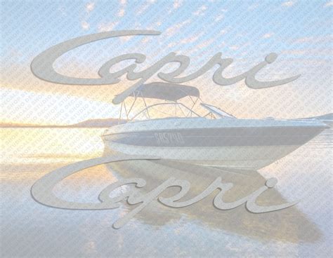 Bayliner Capri Boat Logo Silver Decals Set of 2 X 7 - Etsy