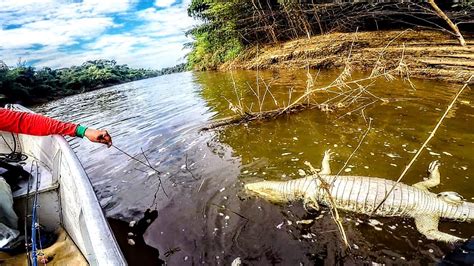 QUANDO VI O BICHO NÃO PUDE FAZER MAIS NADA Pescaria no Rio Miranda