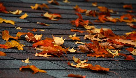 Home Maintenance Top 4 Tips To Prepare Your Roof For Fall Sei Roofing