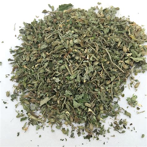 Fresh Organic Dried Catnip Nepeta Cataria Leaf And Flower Herb Oz Bulk Ebay