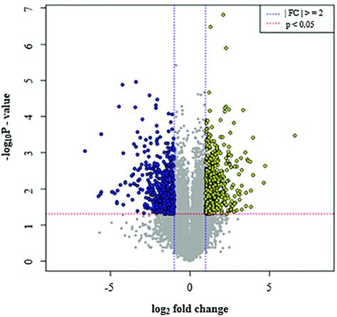 Volcano Plot Of Gene Expression Levels In The Scab Susceptible Cultivar Download Scientific