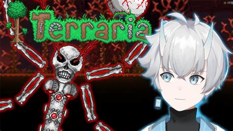 CURSED Terraria Seed Terraria YouTube