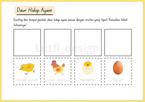 Daur hidup ayam | Ipa, Easy drawings, Preschool