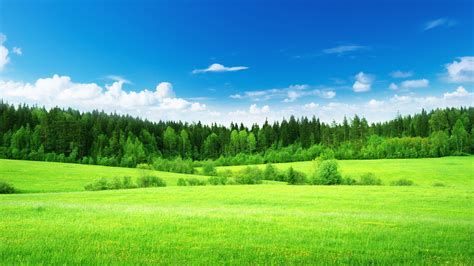 Blue Sky Nature Wallpapers On Wallpaperdog