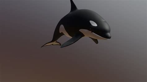 Orca 3d Models Sketchfab