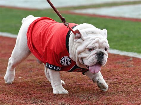 What TV channel is Georgia Bulldogs vs UT Martin football on today ...