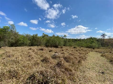 Fazenda Sítio na Rua Serra Negra SN Saraiva em Betim por R 119 900