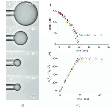 Polylactic Co Glycolic Acid Plga Microsphere Formation By Solvent