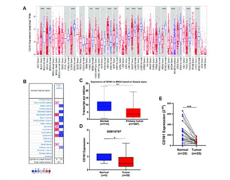 The MRNA Expression Levels Of CD161 In Various Human Cancers A