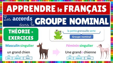 Les Accords Dans Le Groupe Nominal Gn Fran Ais Youtube