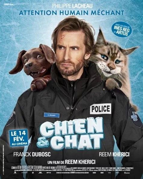 Chien Et Chat Le Film