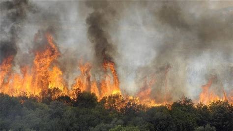 Feux De Forêts En France Des Milliers Dhabitants évacués