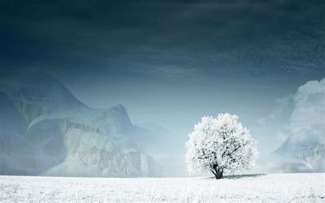 Winterscape Wallpapers - Wallpaper Cave