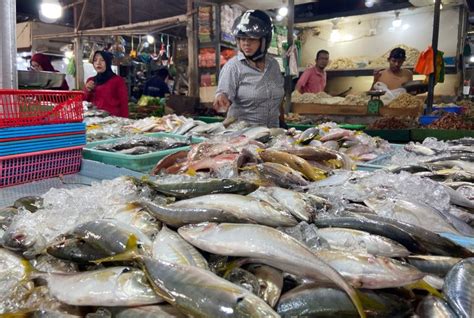 Harga Ikan Di Pasar Mega Legenda Batam Stabil Di Tengah Isu Impor