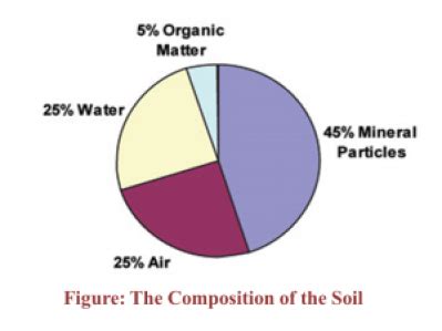 Soil Composition | Soil Definition by two Soil Scientists