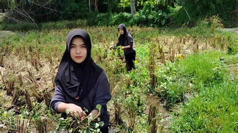 Neng Rani Gadis Desa Cantik Yang Rajin Cari Eceng Buat Makan Bebek Di