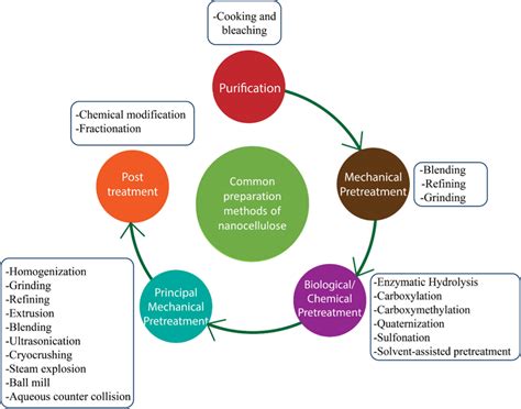 Schematic of the different routes of nanocellulose production from ...