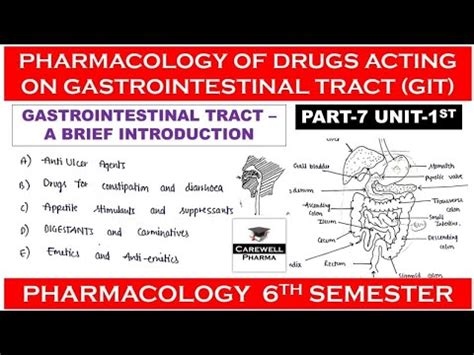 Pharmacology Of Drugs Acting On Gastrointestinal Tract Introduction